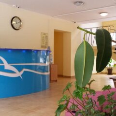 Гостиница Chayka Hotel в Светлогорске отзывы, цены и фото номеров - забронировать гостиницу Chayka Hotel онлайн Светлогорск спа фото 2