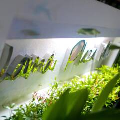 Отель Lamai Plaza Residence питание