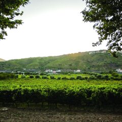 The Wine House Hotel - Quinta Da Pacheca Ламего фото 12