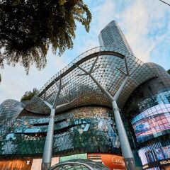 Отель Grand Hyatt Singapore Сингапур, Сингапур - 1 отзыв об отеле, цены и фото номеров - забронировать отель Grand Hyatt Singapore онлайн