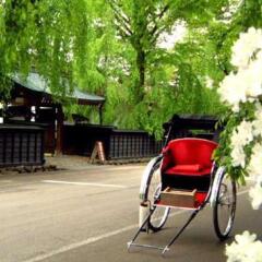 Отель Akita Art Village Onsen Yupopo Дайсен фото 4
