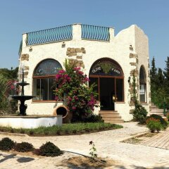 Отель Olive Farm Of Datca Guesthouse - Adults Only Датча развлечения