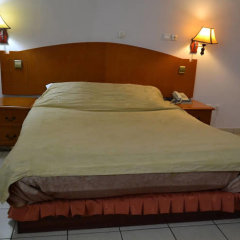 Denver Plaza Hotel in Douala, Cameroon from 39$, photos, reviews - zenhotels.com guestroom photo 2