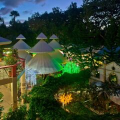 Отель Deep Forest Garden Hotel Филиппины, Пуэрто-Принцеса - 1 отзыв об отеле, цены и фото номеров - забронировать отель Deep Forest Garden Hotel онлайн фото 7