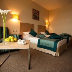Azalia Hotel Balneo & SPA комната для гостей фото 2