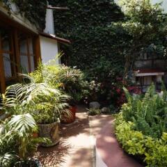 Отель Casa Jacinta Guest House Мексика, Мехико - отзывы, цены и фото номеров - забронировать отель Casa Jacinta Guest House онлайн фото 7