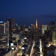 Hotel New Otani Tokyo Garden Tower фото 4