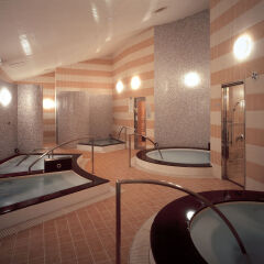The Royal Park Hotel Tokyo Shiodome сауна