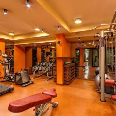 Отель Regnum Bansko Hotel & Spa Болгария, Банско - отзывы, цены и фото номеров - забронировать отель Regnum Bansko Hotel & Spa онлайн фитнесс-зал