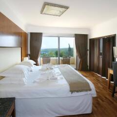 Отель Grecian Park Hotel Кипр, Протарас - 3 отзыва об отеле, цены и фото номеров - забронировать отель Grecian Park Hotel онлайн комната для гостей