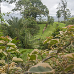 Отель Arenal Tropical Garden Эль-Кастильо фото 5