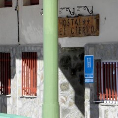 Отель Hostal El Ciervo гостиничный бар