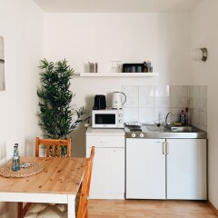 Отель Apollo Apartments Германия, Нюрнберг - отзывы, цены и фото номеров - забронировать отель Apollo Apartments онлайн фото 37