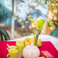 Отель Le Jardin Segurane AP1035 питание