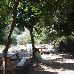 Отель Helios Gunes Camping Патара приотельная территория