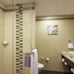 Отель Hilton Garden Inn New Delhi/Saket Индия, Нью-Дели - отзывы, цены и фото номеров - забронировать отель Hilton Garden Inn New Delhi/Saket онлайн ванная фото 2