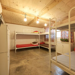 Lazy Fox Hostel фото 2