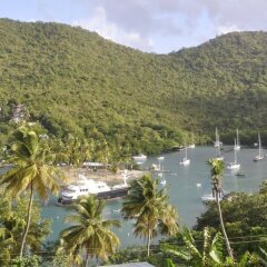 Marigot Palms Luxury Caribbean Guesthouse and Apartment Suites in Marisule, St. Lucia from 189$, photos, reviews - zenhotels.com beach photo 2