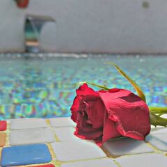 Отель Mina Otel Alacati Чешме детские мероприятия