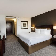Отель Hilton Mexico City Reforma Мексика, Мехико - 1 отзыв об отеле, цены и фото номеров - забронировать отель Hilton Mexico City Reforma онлайн удобства в номере фото 2
