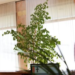 Отель Resi & Dep Италия, Вигонца - отзывы, цены и фото номеров - забронировать отель Resi & Dep онлайн интерьер отеля