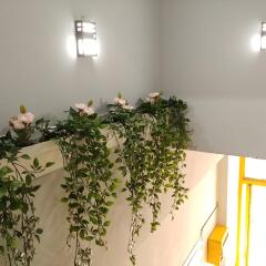 Отель Hause Itaewon - Hostel Южная Корея, Сеул - отзывы, цены и фото номеров - забронировать отель Hause Itaewon - Hostel онлайн интерьер отеля