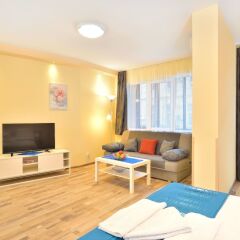 Апартаменты Central Studio 2 комната для гостей фото 5