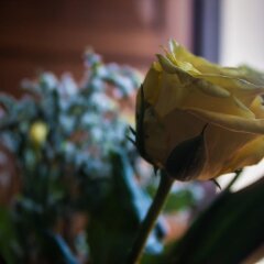 Отель B&B Il Rustico Турате гостиничный бар