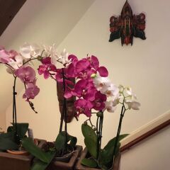 Отель Amsterdam Bed and Breakfast Barangay Нидерланды, Амстердам - отзывы, цены и фото номеров - забронировать отель Amsterdam Bed and Breakfast Barangay онлайн интерьер отеля фото 3