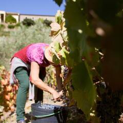 Отель Rural Quinta Do Silval Алижо спортивное сооружение