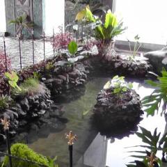 Отель Manikgoda Tea Paradise фото 18