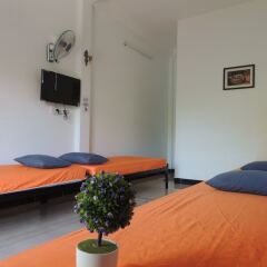 Little Leo Homestay and Hostel удобства в номере фото 2