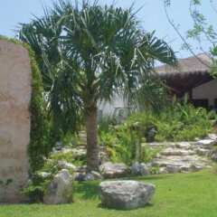 Отель Desire Riviera Maya Pearl Resort All Inclusive- Couples Only фото 5