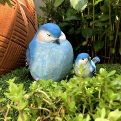 Отель Little Bird Phuket Таиланд, Пхукет - отзывы, цены и фото номеров - забронировать отель Little Bird Phuket онлайн фото 10