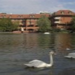 Отель Milano Due Hotel Мальта, Гзира - 1 отзыв об отеле, цены и фото номеров - забронировать отель Milano Due Hotel онлайн приотельная территория