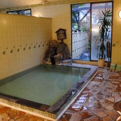 Отель Ryokan Hana to Nagomi No Yado Sankouen Минамиогуни бассейн