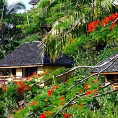 Отель Keikahanui Nuku Hiva Pearl Lodge Французская Полинезия, Нуку-Хива - отзывы, цены и фото номеров - забронировать отель Keikahanui Nuku Hiva Pearl Lodge онлайн фото 5