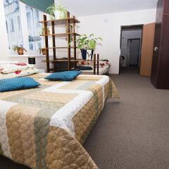 Отель Guest House Drusva Литва, Друскининкай - 1 отзыв об отеле, цены и фото номеров - забронировать отель Guest House Drusva онлайн фото 6
