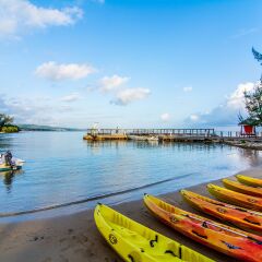 Отель Jewel Paradise Cove Adult Beach Resort & Spa фото 3