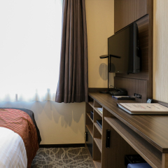 HOTEL MYSTAYS Ueno East удобства в номере