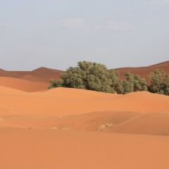 Отель Kasbah Le Berger Марокко, Мерзуга - отзывы, цены и фото номеров - забронировать отель Kasbah Le Berger онлайн приотельная территория