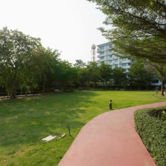 Отель Waterford Condominium Sukhumvit 50 Бангкок фото 8