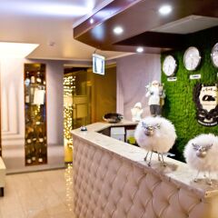Отель Bed & Breakfast Olsi Молдавия, Кишинёв - 1 отзыв об отеле, цены и фото номеров - забронировать отель Bed & Breakfast Olsi онлайн спа