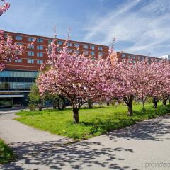 Clarion Congress Hotel Prague