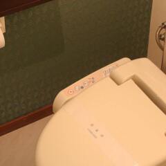 Asamushi Sakura Kanko Hotel ванная