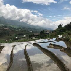 Отель Hoang Kim Homestay Шапа приотельная территория фото 2