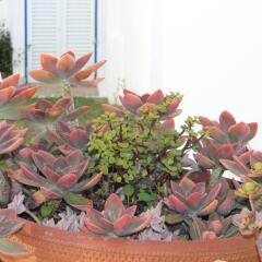 Ericeira Chill Hill Hostel & Private Rooms - Sea Food Мафра