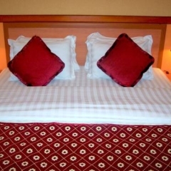 California Hotel детские мероприятия фото 2