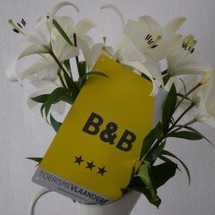 Отель B&B My Suite Home интерьер отеля