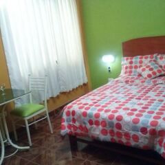 Hostal Real Alcazar in Nazca, Peru from 24$, photos, reviews - zenhotels.com photo 8